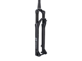 DT SWISS Suspension Fork 29" F 232 One 100 mm Two in...