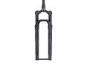 DT SWISS Suspension Fork 29" F 232 One 110 mm Two in One Remote tapered BOOST schwarz 51 mm Offset
