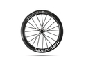 LIGHTWEIGHT Laufradsatz 28" Fernweg EVO 63 Disc | Clincher Campagnolo Adapter Set 2 | Steckachse