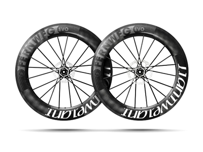 LIGHTWEIGHT Laufradsatz 28" Fernweg EVO 85 Disc | Clincher Campagnolo Adapter Set 3 | Thru Bolt