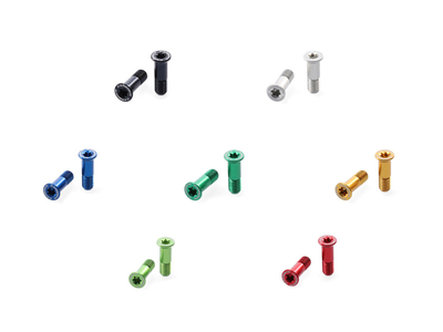 CARBON-TI Derailleur Roller Screws X-Jockey XX1 gold