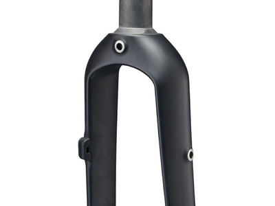 Carbon outlet adventure fork