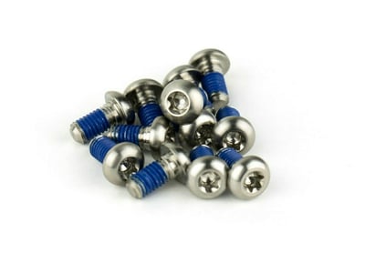 SRAM Schrauben Set M5 x10 Titan für Bremsscheibe | 12 Stück