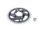 SRAM X-SYNC 2 GX Eagle Direct Mount Kettenblatt 12-fach 6 mm Offset lunar-grau 34 Zähne