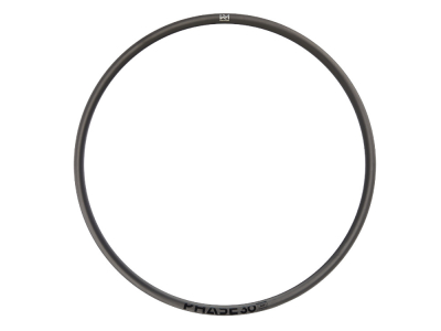 Wheelset 29 XC | Tune MTB 6-Hole Hubs | Newmen Carbon Rims
