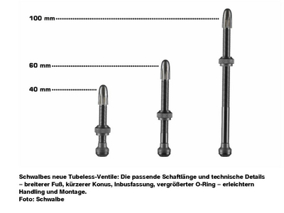 SCHWALBE Tubeless Valve Set 2 Pcs.