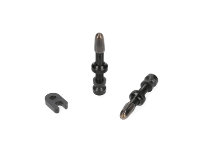 SCHWALBE Tubeless Valve Set 2 Pcs.