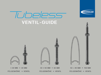 VALVE DE PNEU SCHWALBE TUBELESS 60 mm OBUS DEMONTABLE (VENDU PAR 2)