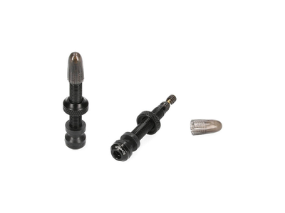 SCHWALBE Tubeless Valve Set 2 Pcs. 40 mm