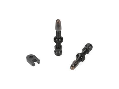 SCHWALBE Tubeless Ventil Set 2 Stk. 40 mm, 14,50 €