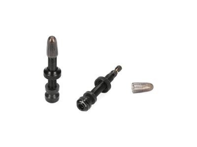 SCHWALBE Tubeless Valve Set 2 Pcs. 60 mm