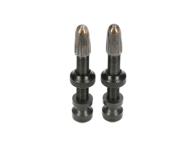 SCHWALBE Tubeless Ventil Set 2 Stk. 60 mm, 17,50 €