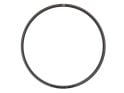 R2BIKE Wheelset E-Bike 29" TR EN | Chris King MTB 6-Hole Hubs | Newmen Carbon Rims