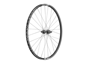 DT SWISS Rear Wheel 29" XR 1700 Spline 25 mm |...