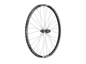 DT SWISS Rear Wheel 29" XM 1700 Spline 30 mm |...