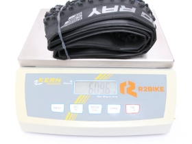 schwalbe racing ray 26