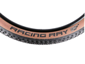 SCHWALBE Reifen Racing Ray 29 x 2,35 Super Race ADDIX Speed EVO TLE Transparent-Skin