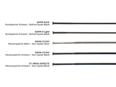 Laufradsatz 28 Disc RR | Carbon-Ti Road Straightpull Center Lock Naben | Duke Carbon Felgen