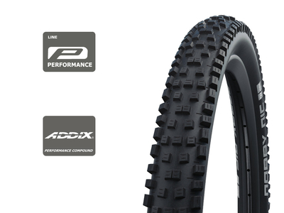 SCHWALBE Tire Nobby Nic 29 x 2,60 ADDIX Performance