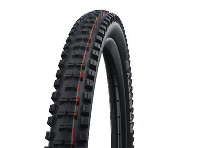 SCHWALBE Tire Big Betty 29 x 2,40 Super Gravity ADDIX Soft EVO