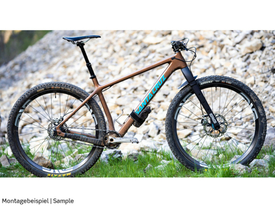 Enve 2025 mountain fork