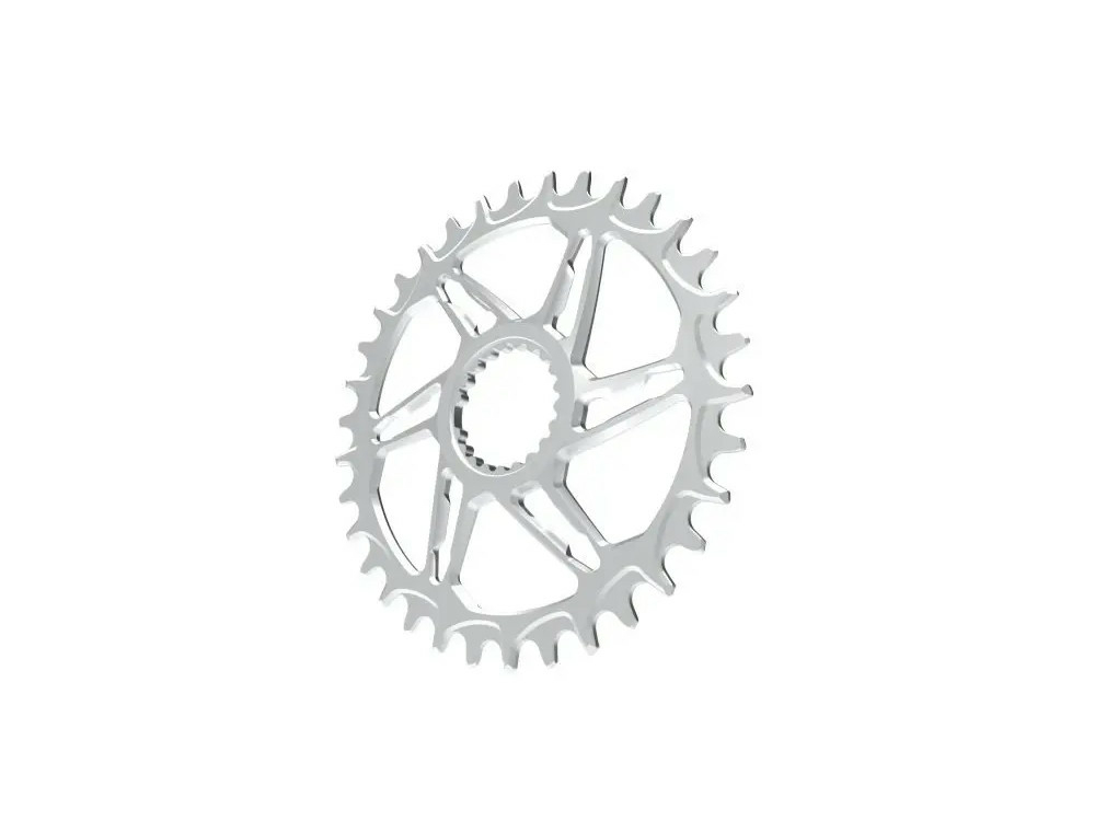 chainring bike