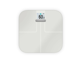 GARMIN Body Scales Index S2 | white