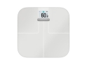 GARMIN Body Scales Index S2 | white