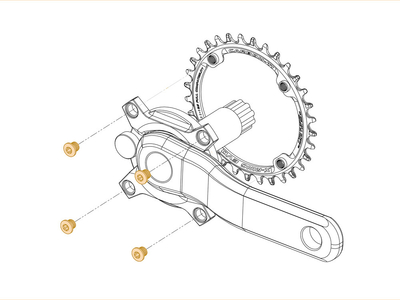 CARBON-TI Kettenblattschrauben X-Fix X-Ring EVO grn
