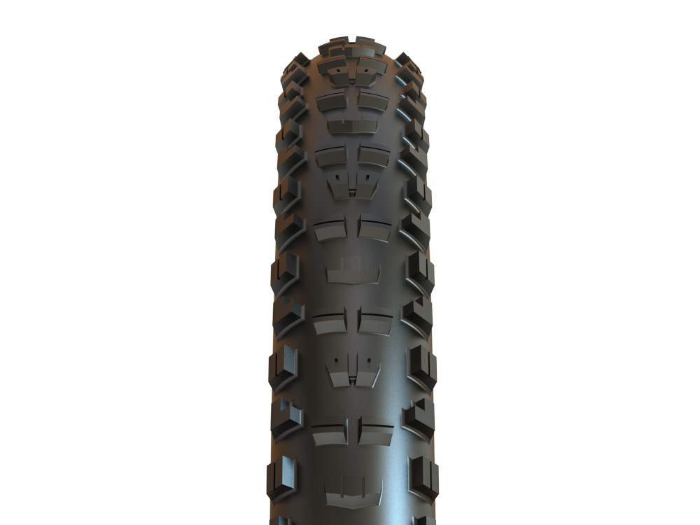 maxxis dhr double down 29