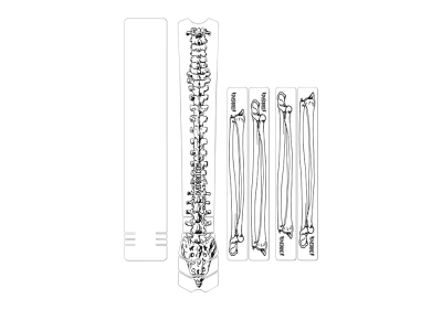 DYEDBRO Frame Protection Set matte | black Bones