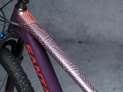 DYEDBRO Frame Protection Set matte | colorful