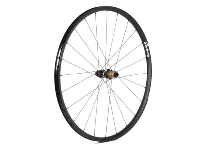 SYNTACE Rear Wheel 28" W25i Straight Center Lock | 12x142 mm Thru Axle | Shimano Road Freehub Body