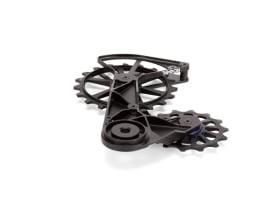 KOGEL BEARINGS Oversized Schaltwerkskäfig System...