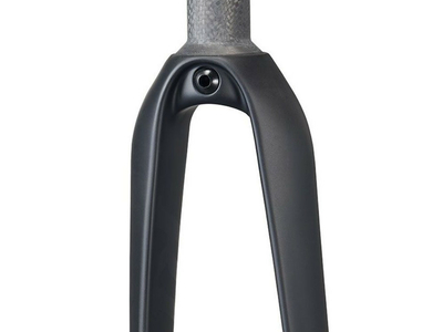 RITCHEY Rigid Fork 28 WCS Carbon Road 1 1/8 inch | 9x100 mm