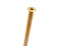 CARBON-TI Steckachse X-Lock EVO 12x1,0 Scott Boost | 171,5 mm gold
