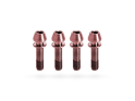 KOGEL BEARINGS Titanium Screw Set for Stem | M5x18 mm rosé
