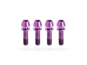 KOGEL BEARINGS Titanium Screw Set for Stem | M5x18 mm purple
