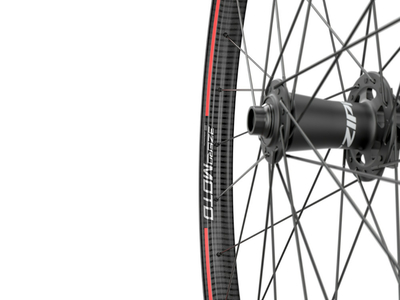 ZIPP Front Wheel 29