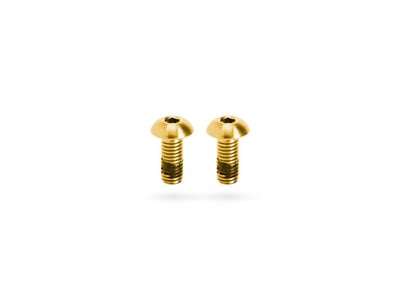 KOGEL BEARINGS Titanium Screw Set for Bottle Cage | M5x12 gold