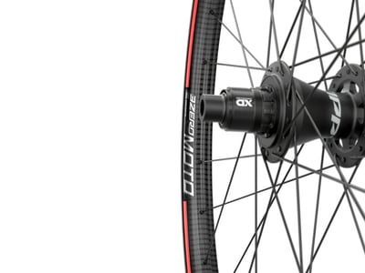 ZIPP Rear Wheel 29