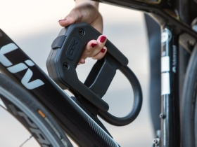 HIPLOK Bügelschloss DXF Gold Level