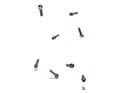 TITLE MTB Screw Set for DM1 Stems | oil slick