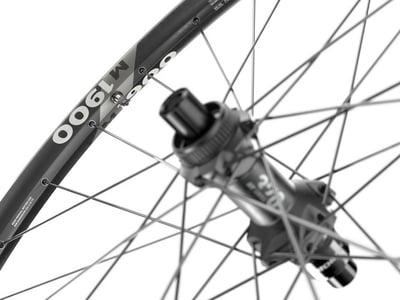 DT SWISS Hinterrad 29 M 1900 Spline 30 mm | 12x148 mm...