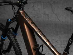 DYEDBRO E-Bike Rahmenschutz Set Fluor matt