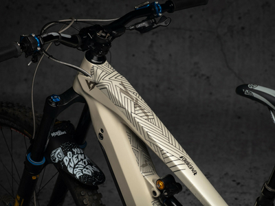 DYEDBRO E-Bike Rahmenschutz Set Stay Free matt