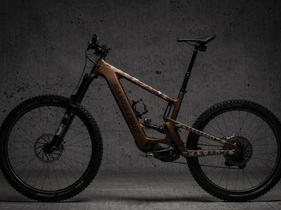 DYEDBRO E-Bike Rahmenschutz Set Old School Tattoo | matt wei