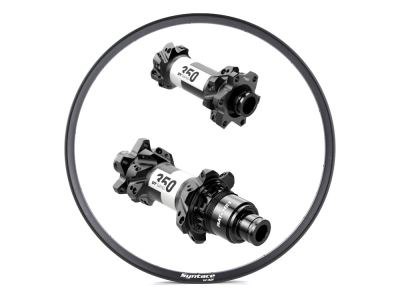 Laufradsatz 29 TR AM EN | DT Swiss 350 MTB Straightpull...