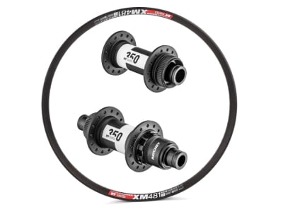 R2BIKE Wheelset 29" TR AM EN | DT Swiss 350 MTB Center Lock  Hubs | DT Swiss Aluminum Rims