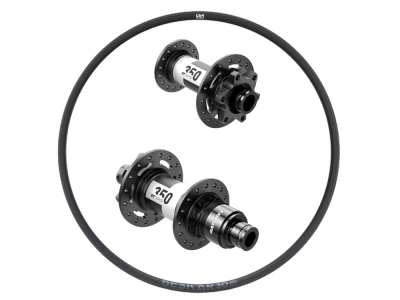 Wheelset 29 XC | DT Swiss 350 MTB 6-Hole Hubs | Newmen Aluminum Rims